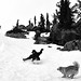 David Toller Photo 6