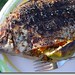 Susan Fish Photo 39