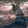 David Riek Photo 20