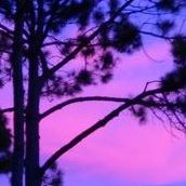 Mary Stickney Photo 20