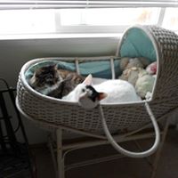 Judy Duncan Photo 6
