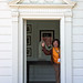 Julia Davies Photo 21