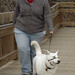 Lisa Mclean Photo 22