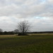 Jonathan Heath Photo 10