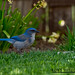 Jay Daugherty Photo 13