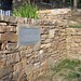 Jane Sites Photo 7