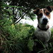 Buddy Archer Photo 4