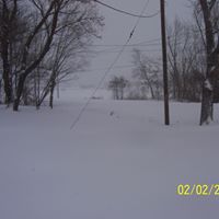 Deborah Lay Photo 5