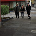 Raymond Loomis Photo 13