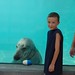 Cole Seal Photo 10