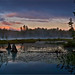 Wayne Jones Photo 17