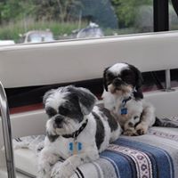 Judy Friend Photo 8