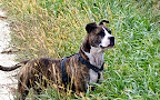 Lisa Wells Photo 22