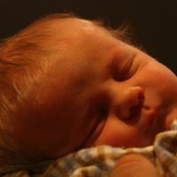 David Litz Photo 12