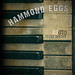 Brian Hammond Photo 32