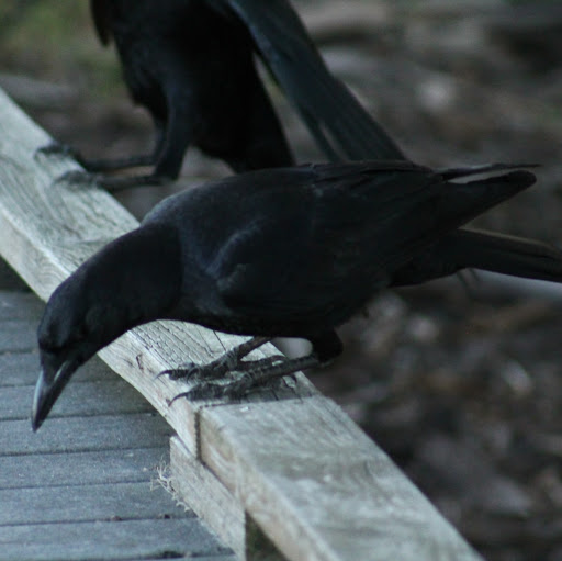 Mary Sayers Photo 14