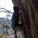David Wall Photo 43