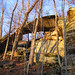 Arch Carter Photo 5