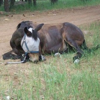 Catherine Peterson Photo 10