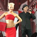 Neil Hall Photo 32