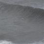 Jason Stevens Photo 8