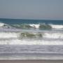 Adam Jarrett Photo 32