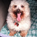 Rufus Simmons Photo 12