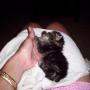 Cynthia Mobley Photo 24