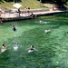 Debra Barton Photo 12
