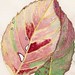 Joyce Winters Photo 19
