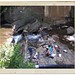 Randall Hardy Photo 12