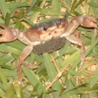 Susan Willson Photo 24