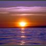Julie Dewitt Photo 27