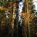 Amy Hinson Photo 18