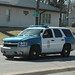Fred Thornton Photo 47