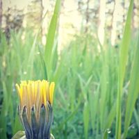 Tim Timmons Photo 28