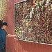 Flora Walls Photo 4