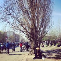 Yao Hu Photo 22