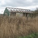 Joyce Green Photo 16