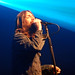 Charlotte Crowe Photo 25