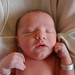 Derek Nicholas Photo 12