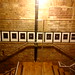 Robin Price Photo 19