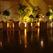 Carol Dees Photo 22