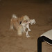 Penny Benton Photo 22