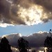 Brenda Cloud Photo 21