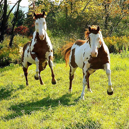 Sandra Cooley Photo 34
