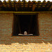 Sandra Roof Photo 6