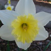 Connie Meador Photo 13