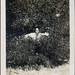 Lonnie Bush Photo 18