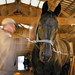 Donald Harness Photo 12
